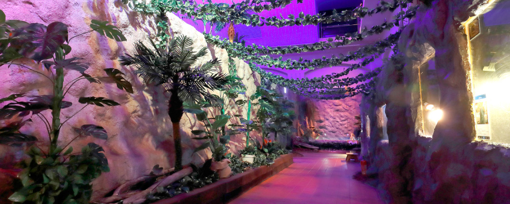 JUNGLE ZONE