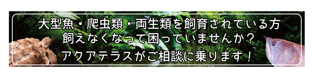 引き取り