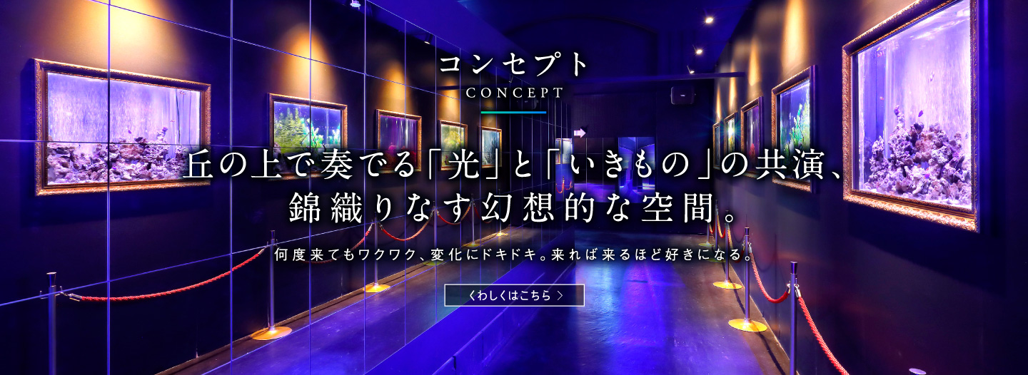 コンセプト
